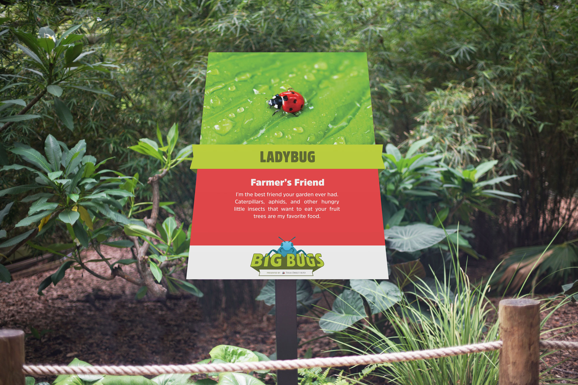 Houston-Zoo-Big-Bugs-Exhibit-Signage