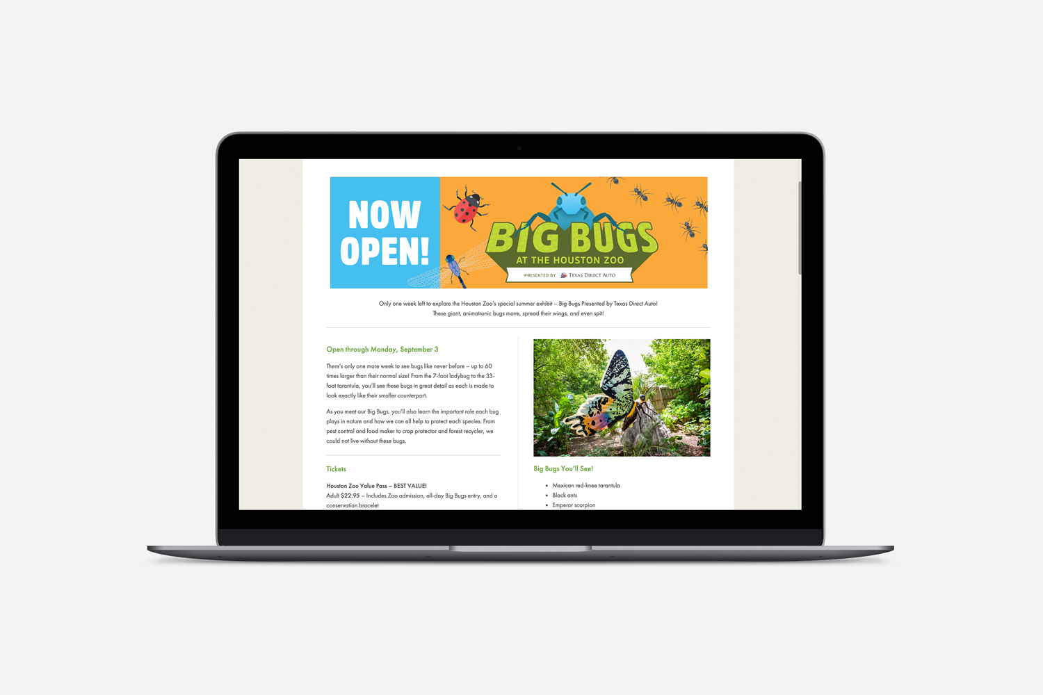 Houston-Zoo-Big-Bugs-Web-Banner